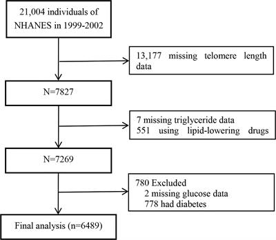 Triglyceride-Glucose Index Correlate With Telomere Length in Healthy Adults From the National Health and Nutrition Examination Survey